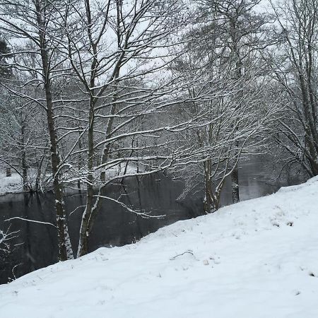 Отель Laegenhet Centralt I Vaernamo Vid Apladalen Экстерьер фото